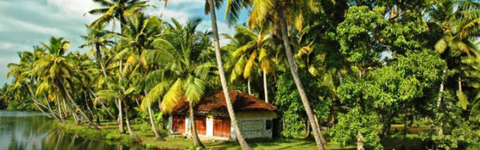 kerala-tours-from-ahmedabad